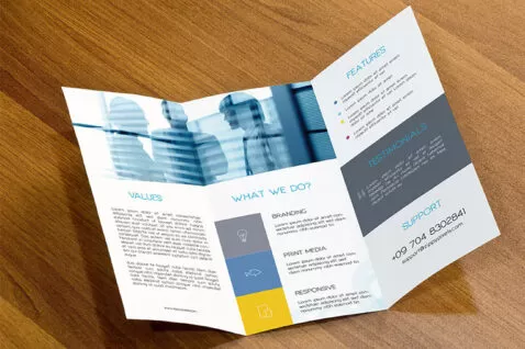 brochure 478x318